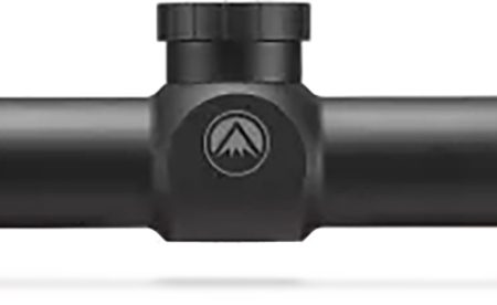 Burris 200017 Droptine  Black Matte 3-9x40mm 1" Tube Ballistic Plex Reticle
