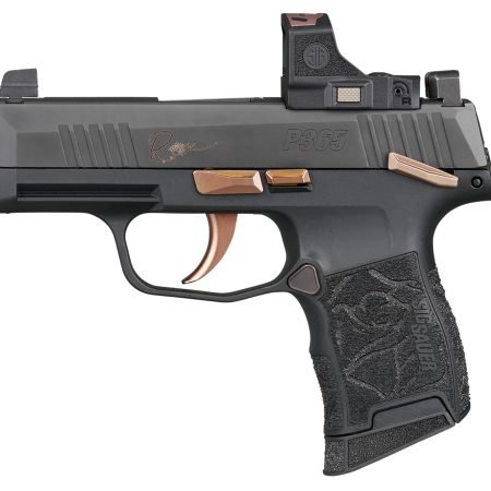 SIG 365380ROSEMSRS      P365 380 3.1 10R      ROSE