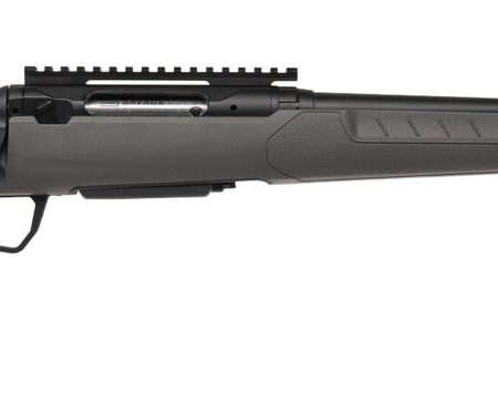 SAV 32400 110 TRAILBLAZER 556        20    4   FDG