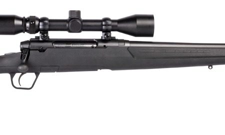 SAV 57987 AXIS XP  350L    DBM MATTE