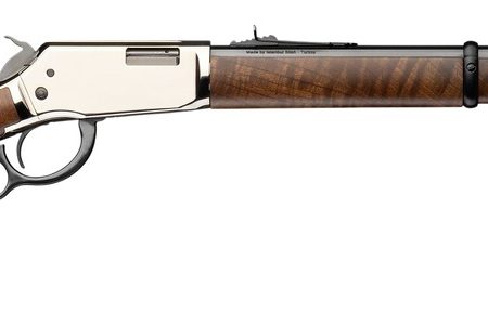 WGUN 524212102 RANGER HG NICKEL  S  22LR