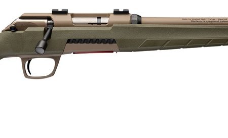 WGUN 525240286 XPERT ODG FDE SR NS  17WSM