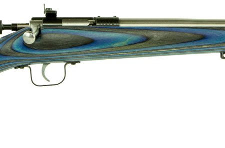 Crickett KSA2223 Youth  22 LR 1rd 16.12" Stainless Steel Barrel, Fixed Front/Adjustable Rear Peep Sights, Blue Laminate Stock w/11.5" LOP, Rebounding Firing Pin Safety