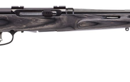 Savage Arms 47005 A17 Target Full Size 17 HMR 10+1 22" Black Heavy Fluted Barrel, High Luster Drilled & Tapped Carbon Steel Receiver, Satin Gray Thumbhole Laminate Stock, Right Hand