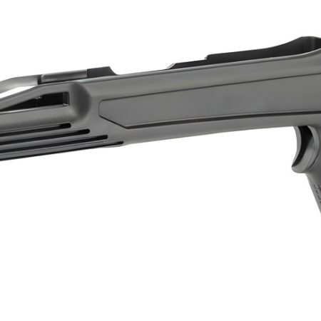 ADAPT AT02030  ARKUS RUGER 10/22 RIFLE STOCK BLK