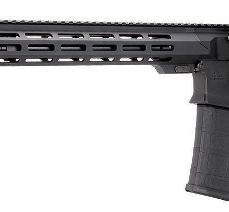 US Palm RI00010001AAN Cat4 Storm 5.56 NATO 30+1 16" Black Threaded Barrel, Matte Black Receiver w/Picatinny Rail, M-LOK Handguard, Adjustable Black Polymer Stock, Reduced Angle Grip, Ambidextrous