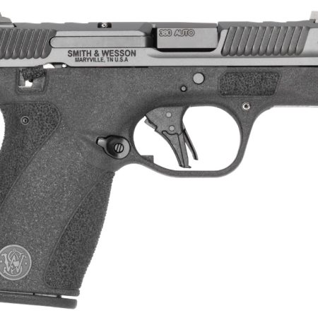 S&W BODYGRD 2.0    14419 380 3.1  TS*CA 10R GRYBLK
